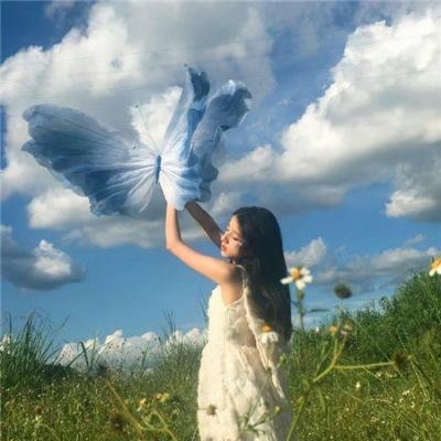 好莱坞,我爱你