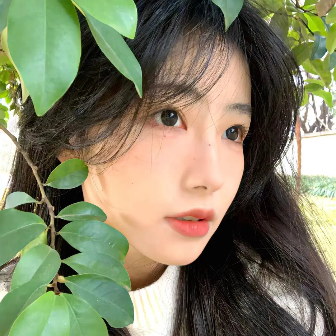 甜米奇竞选总统